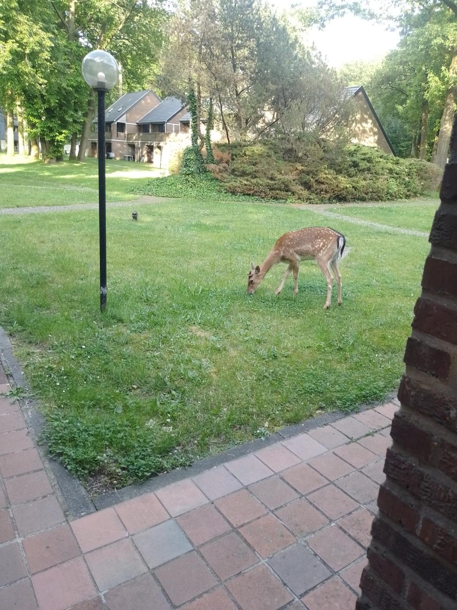 Domein Hengelhoef Villa Aan de Wolfsberg Kültér fotó